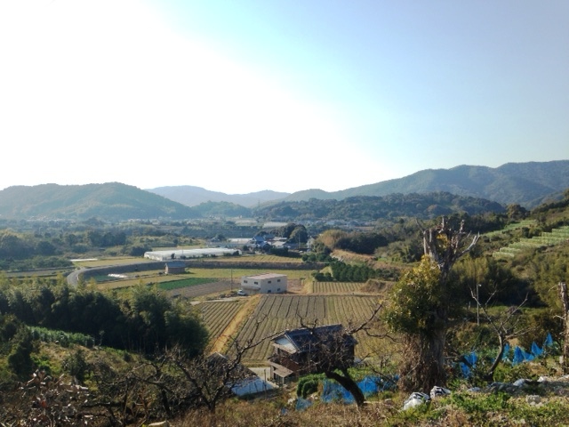 山郷全景.JPG