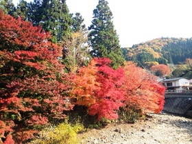 室生寺川沿い.JPG