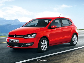 polo　名前.jpg