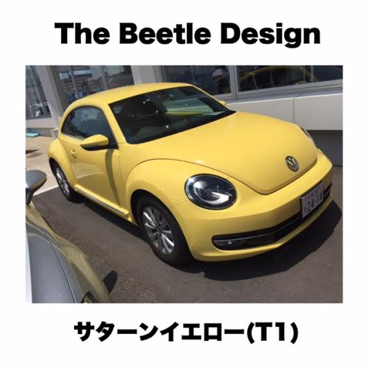 beetle きいろ.png
