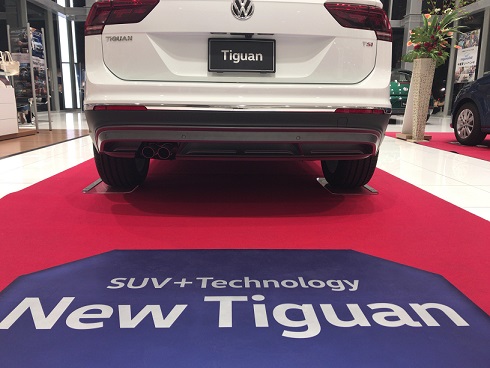 tiguan1.JPG