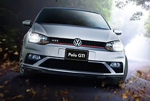 polo_gti.jpg