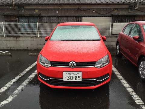 雪Polo.jpg