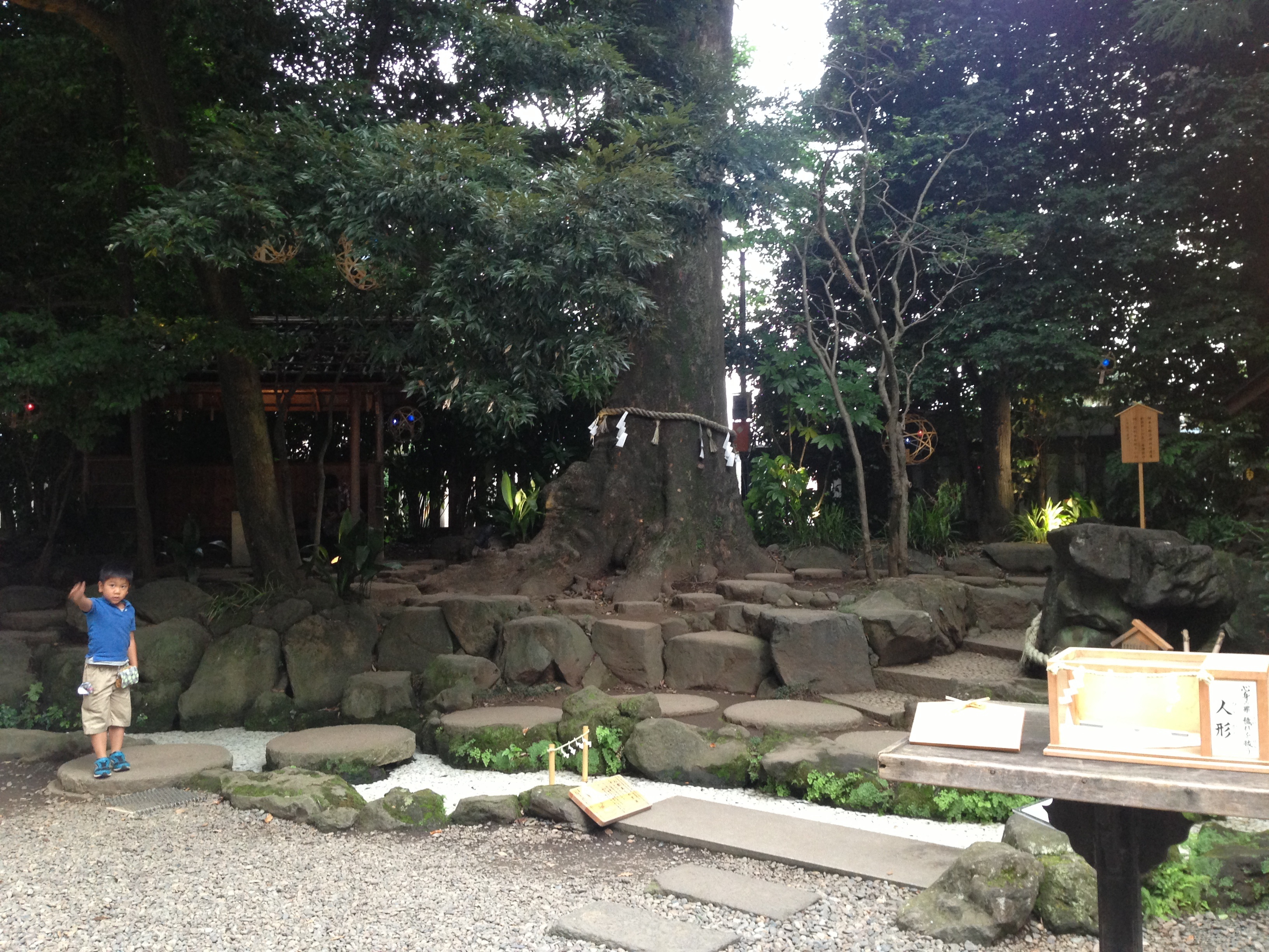 氷川神社　いしだたみ.jpg