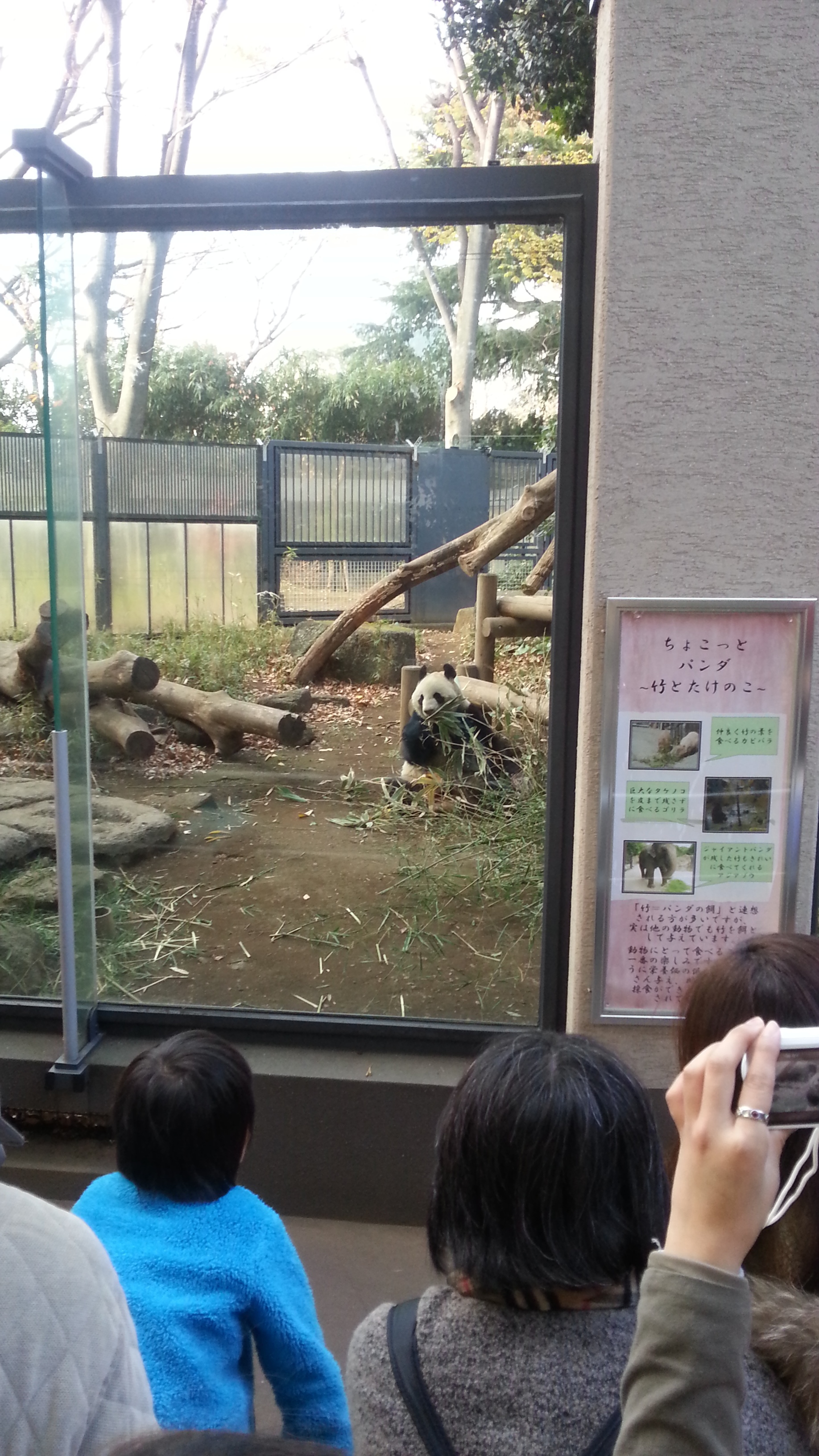 20131217_140316.jpg