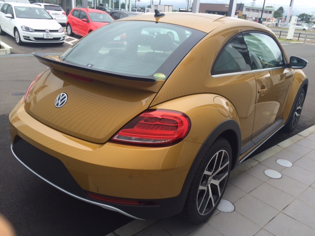 Dune rear.JPG