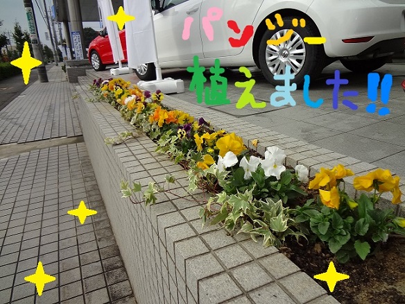 パンジー植えました.jpg