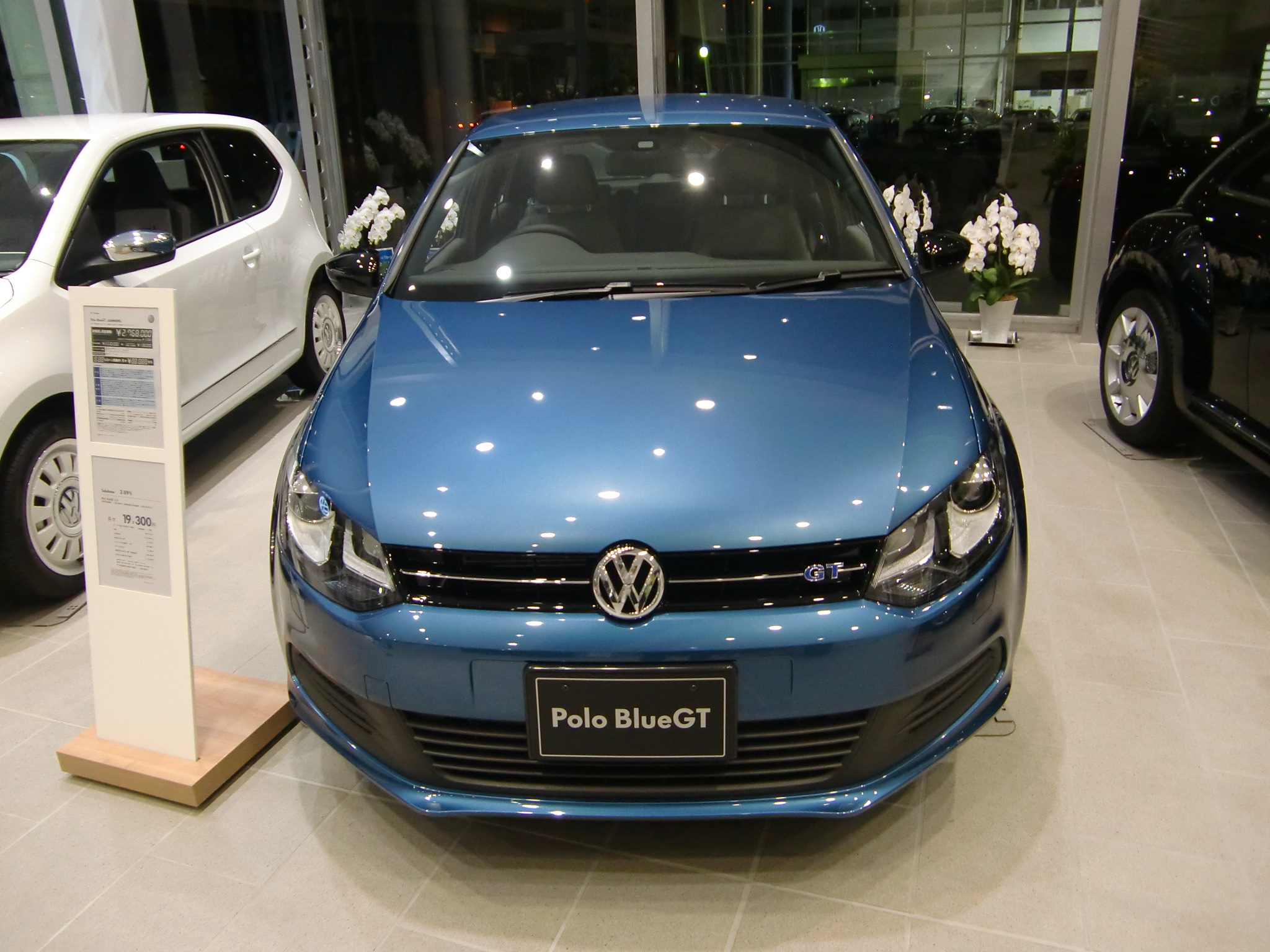 Ｐｏｌｏ　Ｂｌｕｅ　ＧＴ