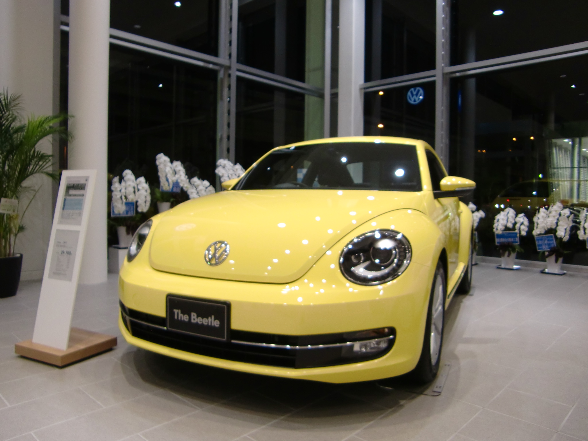 The Beetle DL(T1)