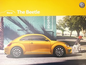 Beetle.JPG