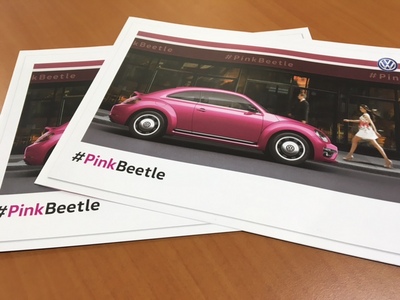 pinkbeetle.JPGのサムネール画像