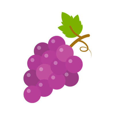 grapes-icon-vector-fruit-illustration-nature-wine-vector-id1146278313.jpg