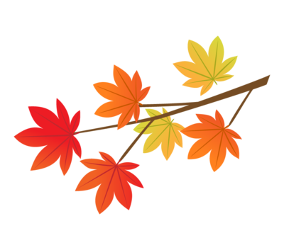 momiji_autumn_leaves_384.png