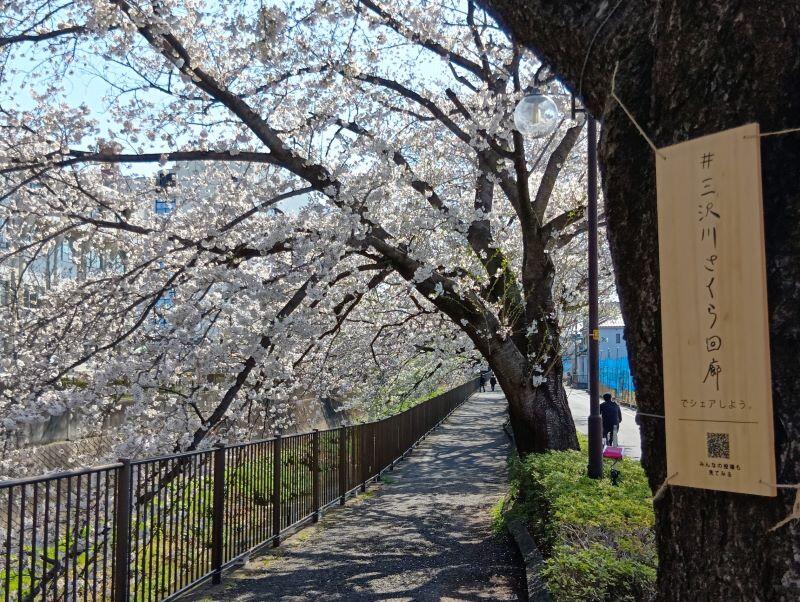 thumbnail_250405091031139.jpg