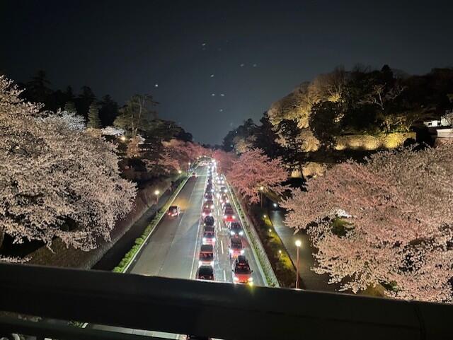 桜橋から.jpg