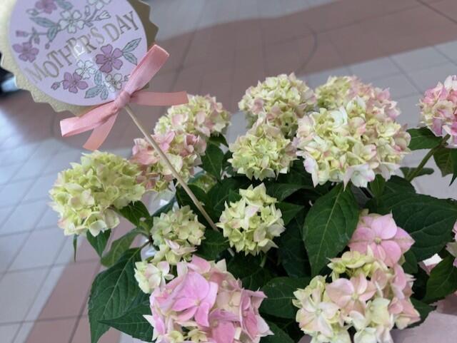 070507-2.jpg