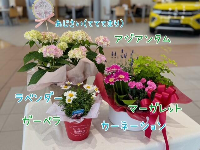 070507-7.jpg