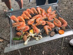 IMG_4998.jpg