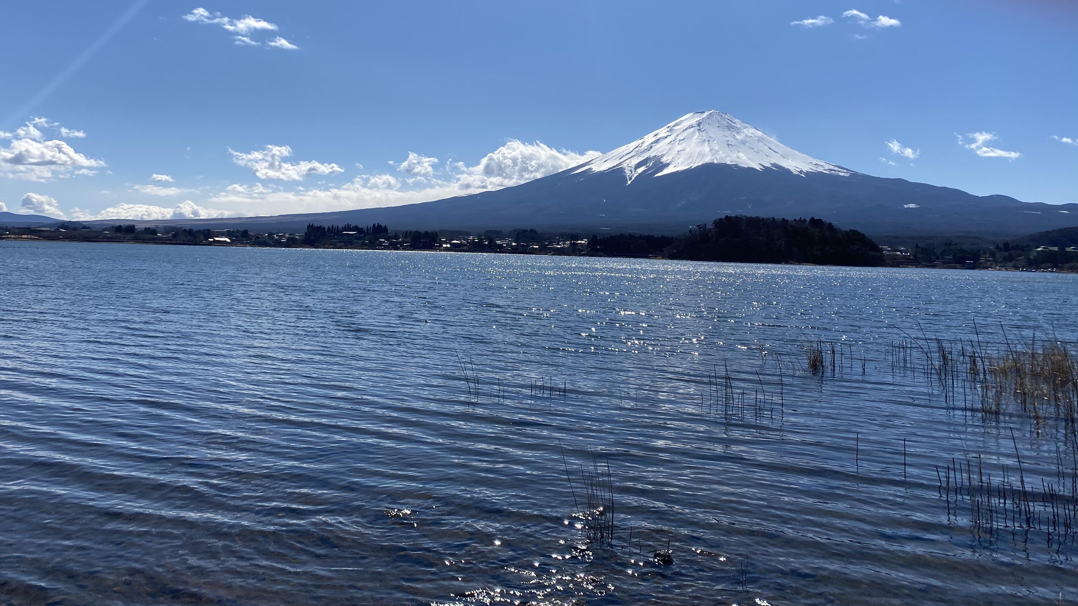 河口湖の富士山.jpg