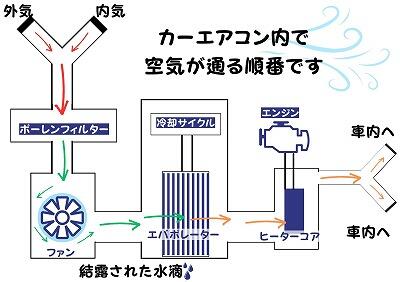 ポーエレンフィルター.jpg