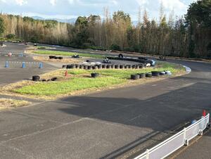 image_123650291 (5).JPG