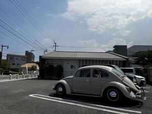 IMG_7339.jpg