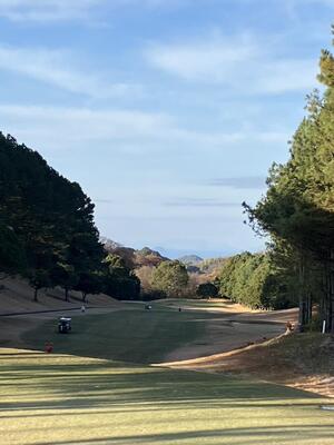 image_123650291 (68).JPG