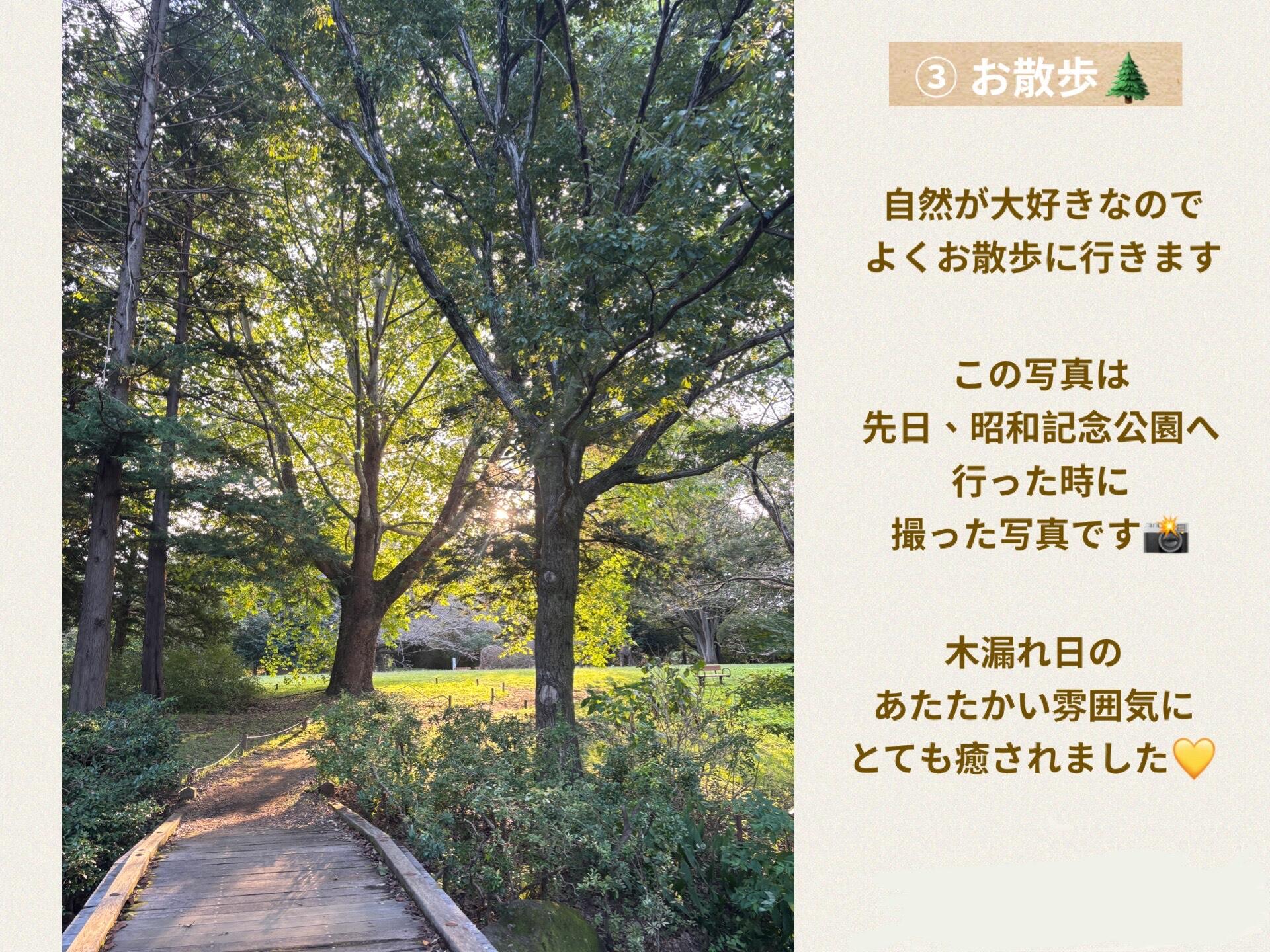 公園.jpeg