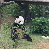 スタッフ紹介