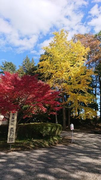 常磐神社もみじ.JPG