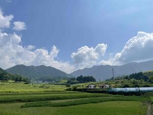 IMG_7151.JPG