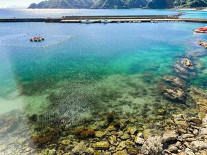 IMG_7287.JPG