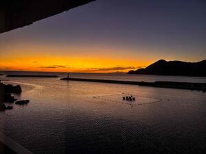 IMG_7377.JPG
