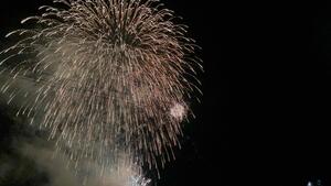IMG_7149.JPG