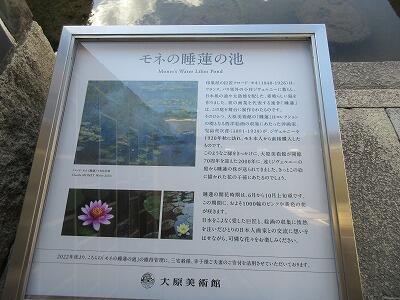 IMG_4366.jpg