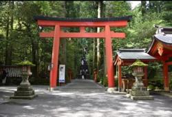 箱根神社.png