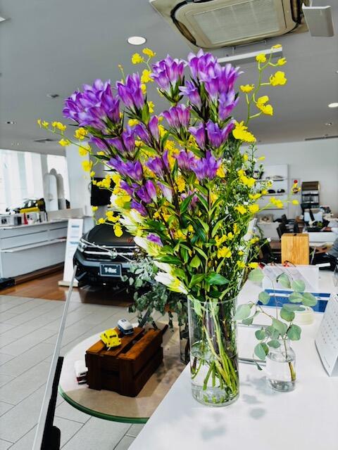 image2 - 2025-11-02T154154.557.jpeg