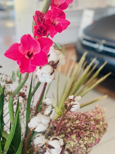 image0 - 2025-11-02T161947.226.jpeg