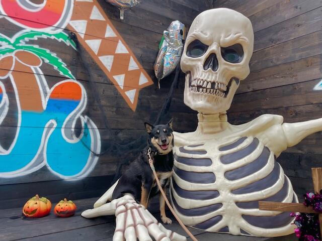 image1 - 2025-10-30T125224.306.jpeg