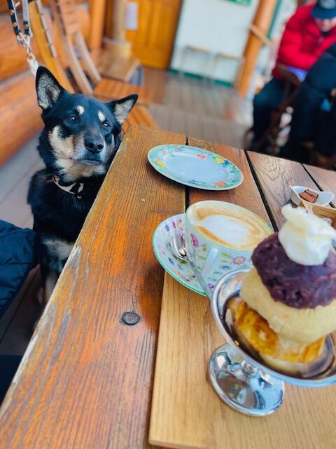 image1 - 2025-12-11T155008.198.jpeg