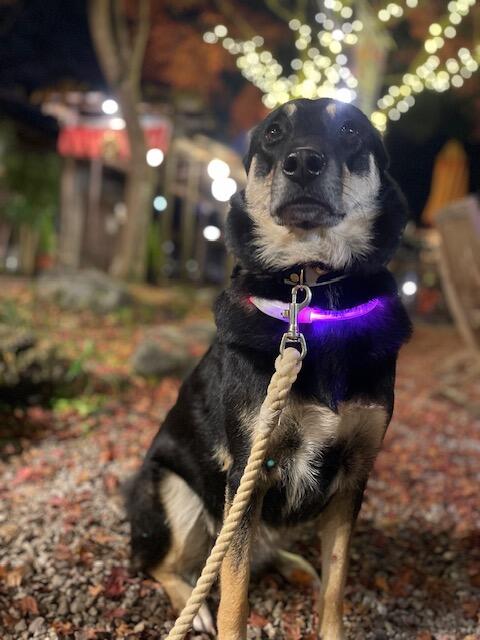 image1 - 2025-12-22T111740.310.jpeg