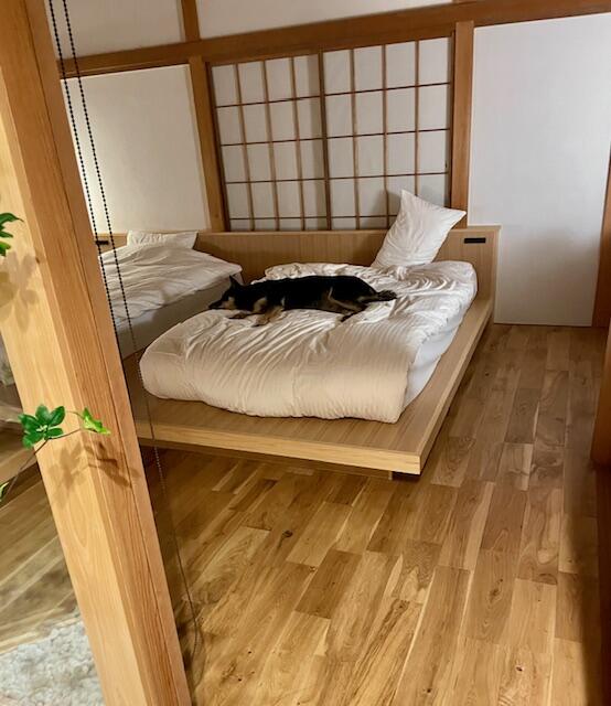 image2 - 2025-11-15T120511.070.jpeg