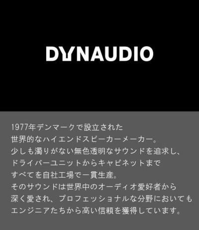 ＤＹＮＡＵＤＩＯ説明.jpg