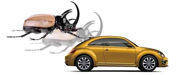 Beetle.jpeg