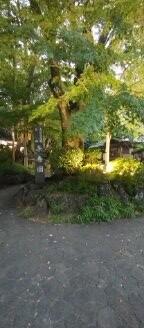 1000001614[1].jpg