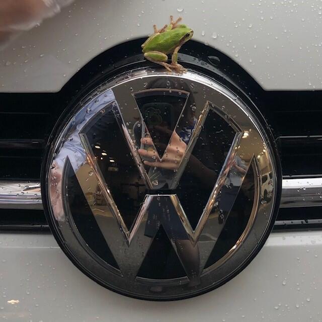 ピョン吉VWマーク.jpg