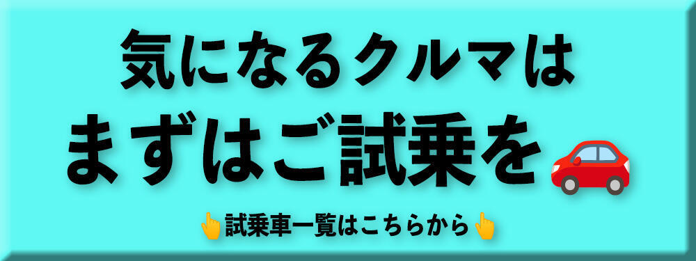 試乗ボタン.jpg