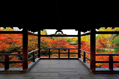 紅葉３.jpg