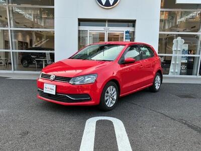 POLO1.jpg