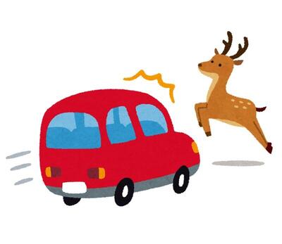 鹿との衝突事故.jpg